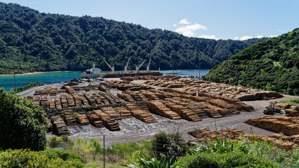 ニュージーランド輸出。松の木のログは、船、マールボロサウンド、ニュージーランドにロードされています。 - marlborough region zealand new landscape ストックフォトと画像
