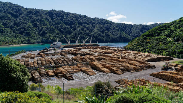 New Zealand exports. Pine tree logs being loaded onto a ship, Marlborough Sounds, New Zealand. Pine tree logs being loaded onto a ship for export at Shakespeare Bay, Waimahara Wharf, Port Marlborough, Marlborough Sounds, south island, New Zealand. picton new zealand stock pictures, royalty-free photos & images