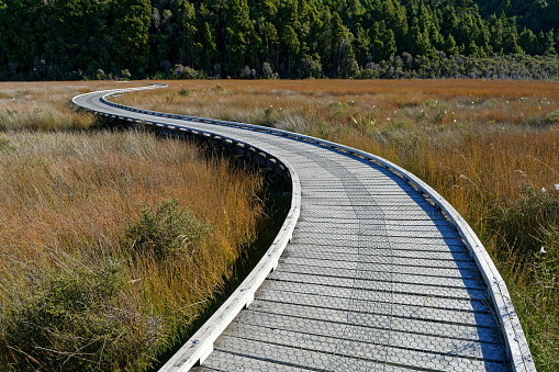 A long and winding path, Okarito wetland, west coast, New Zealand.