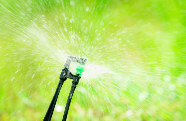 istock Closeup sprinkler watering grass on blur green background. Sprinkler with automatic system. Garden irrigation system watering lawn. Sprinkler maintenance service. Home service irrigation sprinkler. 1347603553
