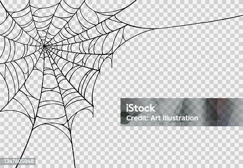istock Halloween party background with spiderwebs isolated white or transparent texture,blank space for text,element template for poster,brochures, online advertising,vector illustration 1347605048