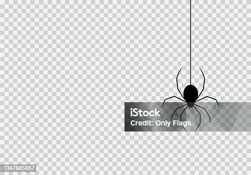 istock Spider hanging from spiderwebs isolated white or transparent texture, Halloween party background,blank space for text,element template for poster,brochures, online advertising,vector illustration 1347605057
