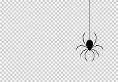 istock Spider hanging from spiderwebs isolated white or transparent texture, Halloween party background,blank space for text,element template for poster,brochures, online advertising,vector illustration 1347605057