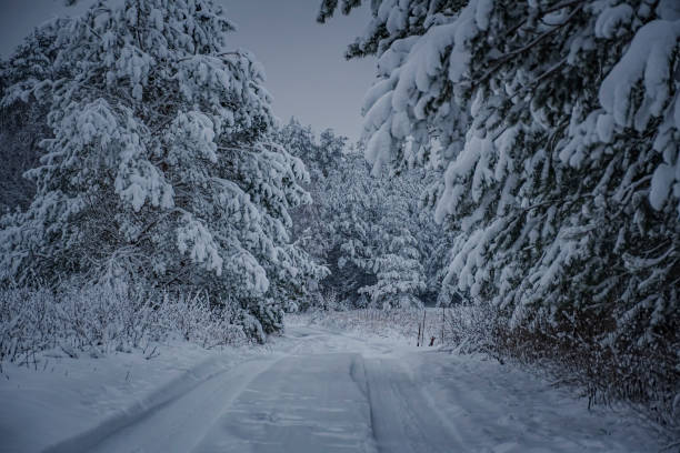 istock Cold dark season in Lithuania 1347606008