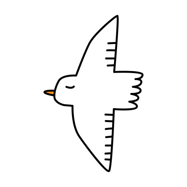 958 Cartoon Of A Seagull Flying Illustrations & Clip Art - iStock