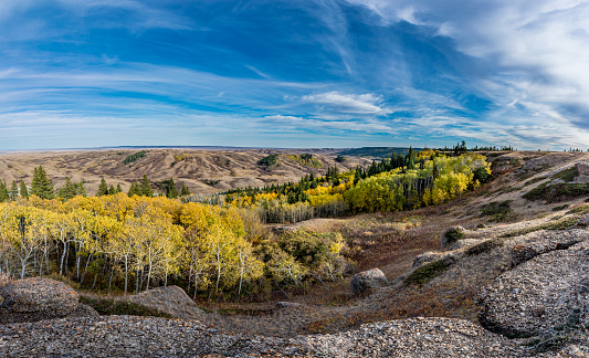 Fall colors overlooking the Battle River Valley from the Conglomerate Cliffs in Cypress Hills, SK