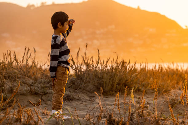 familia dando un paseo por la playa - 5461 fotografías e imágenes de stock