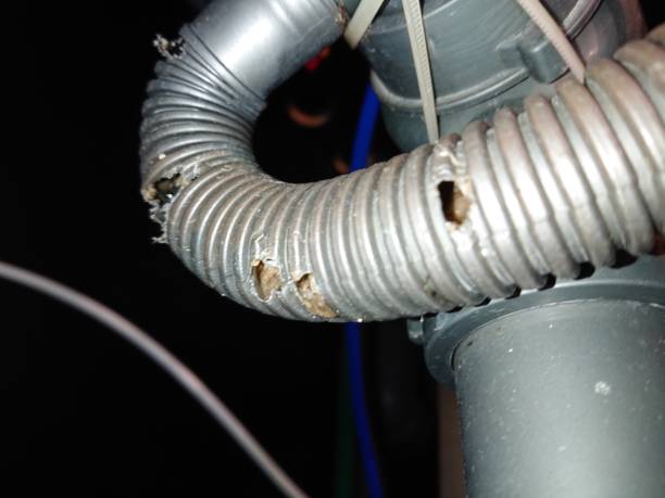 istock Jakarta Indonesia , 05 October 2021, flexible kitchen sink pipe line is broken 1347615412