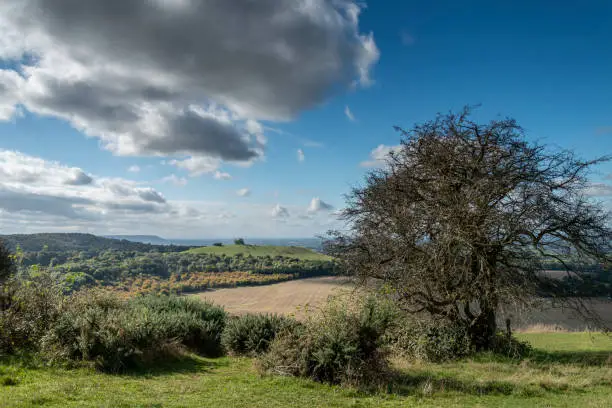 Photo of Coombe Hill landscape ,The Chilterns,Buckinghamshire, England,