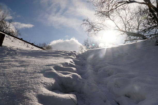 숲에서 겨울 장면에서 눈 덮인 산의 언덕까지 스노우 슈 트레일. 푸른 하늘과 화창한 날에 눈의 트랙. 겨울 스포츠 - amazing grace 뉴스 사진 이미지
