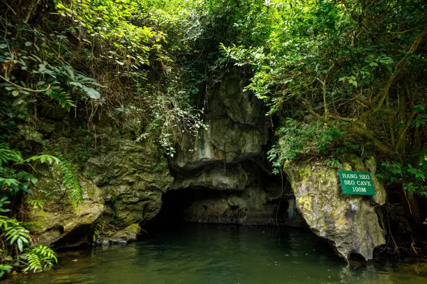 The Landscape of Ninh Binh with the Caves of Tam Coc and Trang An