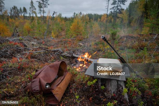 Basic Equipment For Moose Hunting Stock Photo - Download Image Now - Hunting - Sport, Sweden, Tree Stump