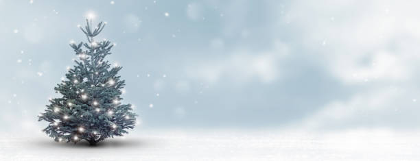 istock beautiful christmas tree in abstract white winter landscape, blurred christmas background with snow flakes on blue sky, holiday season concept with copy space 1347636739