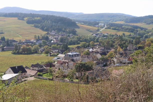 istock View on the vineyards in Mercurey , Bourgogne 1347636867