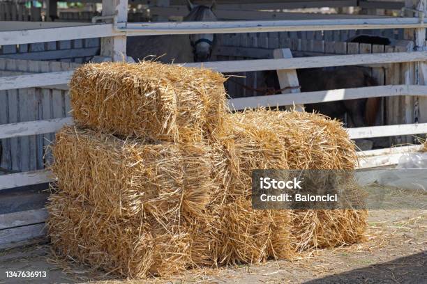 Square Hay Bales Stock Photo - Download Image Now - Bale, Hay, Stack