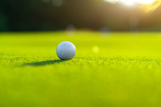 istock Golf ball on green field grass 1347639536