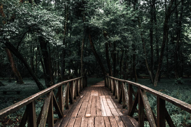 istock The river Bosnia park 1347639720