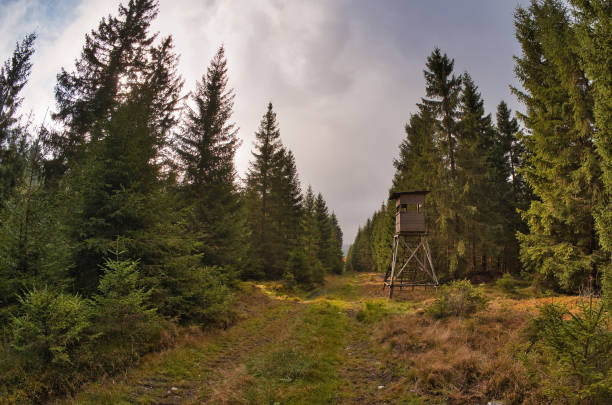 on the Rennsteig in the Thuringian Forest