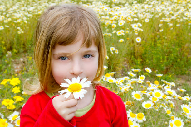 blond little girl smelling a daisy spring flower in meadow field