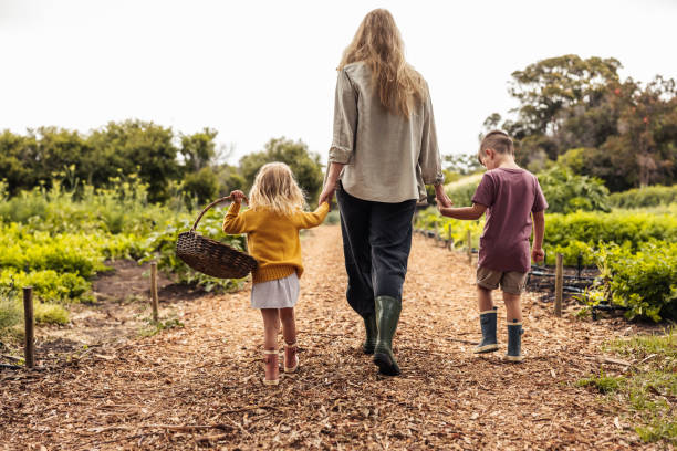 istock Young mother going harvesting with her two kids 1347650623