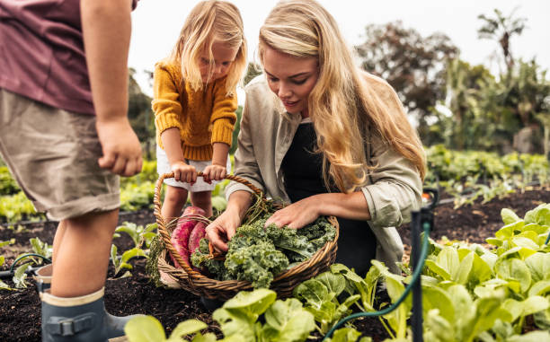 istock Young mother gathering fresh vegetables with her children 1347650695