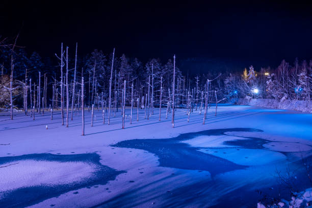 istock Illuminated fantastic winter blue pond in Biei 1347650728