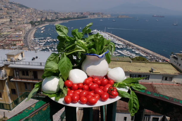 vassoio con mozzarella, pomodori e basilico di fronte alla vista del golfo di napoli - mozzarella tomato salad italy foto e immagini stock