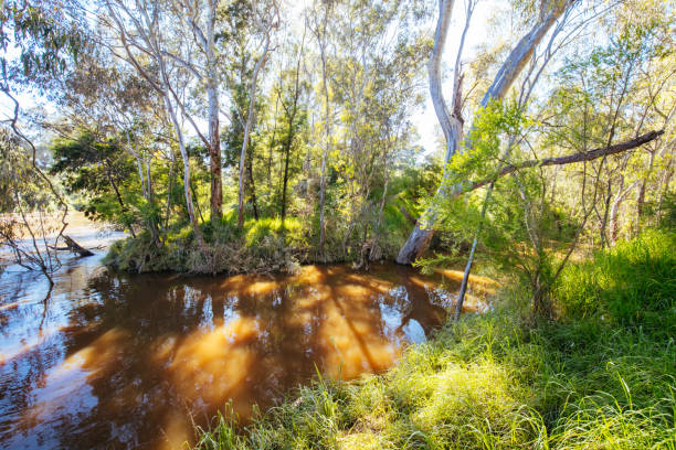 istock Yarra Trails in Melbourne Australia 1347656562
