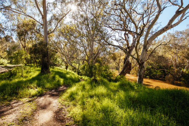 istock Yarra Trails in Melbourne Australia 1347656564