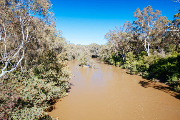 istock Yarra Trails in Melbourne Australia 1347656570