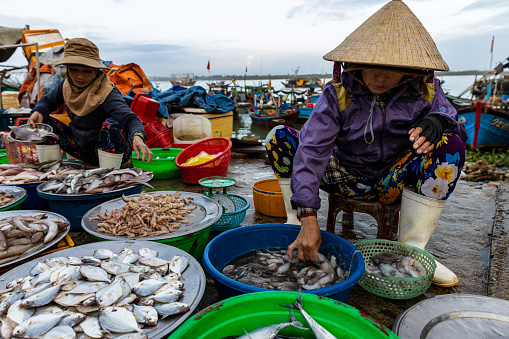 Hoi An, Quang Nam, Vietnam - December 15, 2019: People on the fish market at the harbor of Hoi An in Vietnam