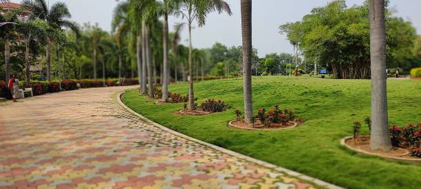 istock Natural green park plant and flowers beutiful landscape background image 1347663925