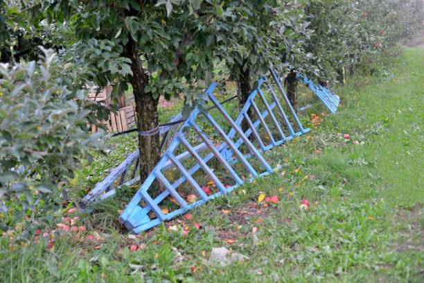 Wolka Zamkowa, Poland - August 14, 2016: Destroyed, wooden fence next to an  abandoned farmhouse