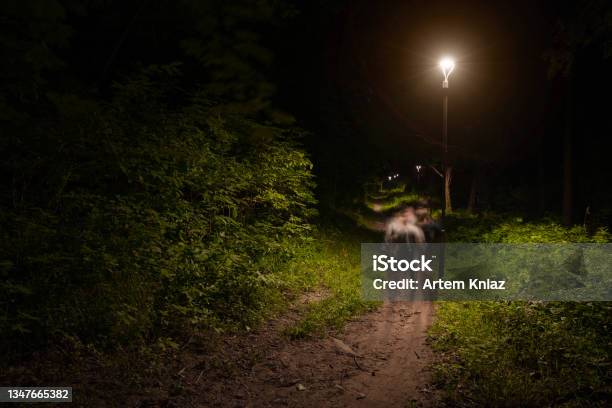 Night Park Outdoor View Of Dirt Lonely Passage Under Lantern Light With Abstraction Fuzzy Humans Silhouette In Motion Stock Photo - Download Image Now