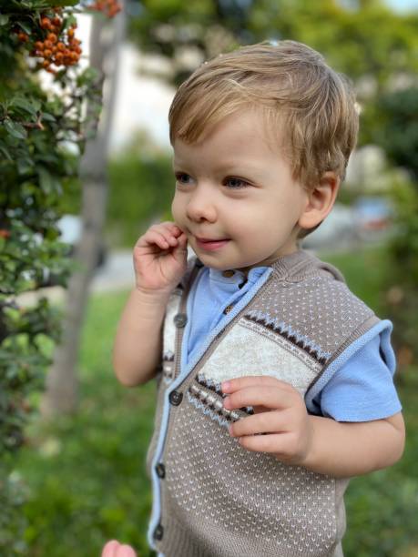 istock Little boy collecting berries 1347665667