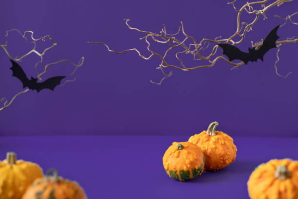 istock Bright orange decorative pumpkins, black paper bats, spooky bare branches on purple background. Festive Halloween mockup. Still life composition for product presentation. Front view 1347666296