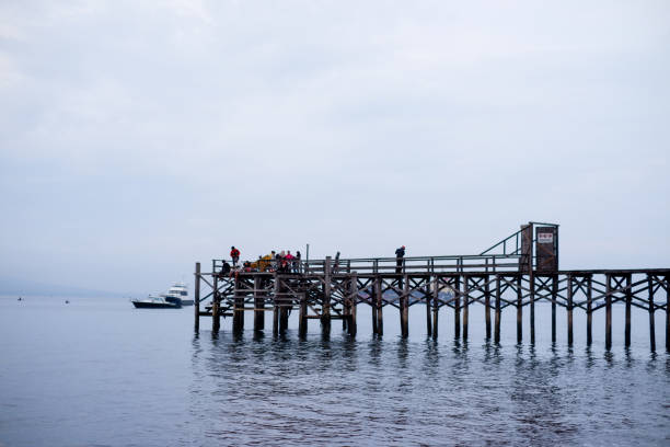 istock Long wooden pier in the morning 1347666775