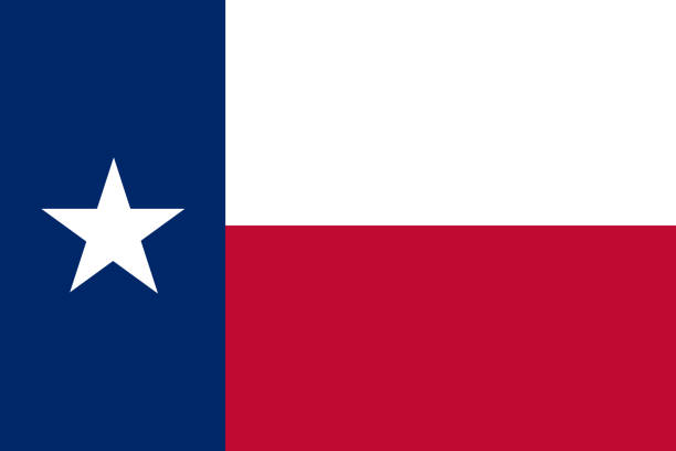 flaga stanu teksas - flaga teksasu stock illustrations