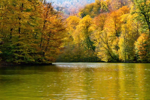 istock Autumn forest and lake. Beautiful autumn landscape 1347669784