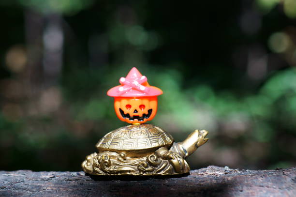 A metal turtle with a figured pumpkin.