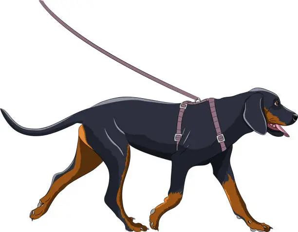 Vector illustration of Running big black dog isolated on white background.