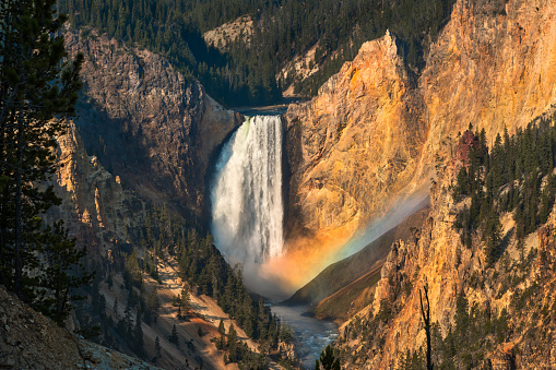 Yellowstone Falls