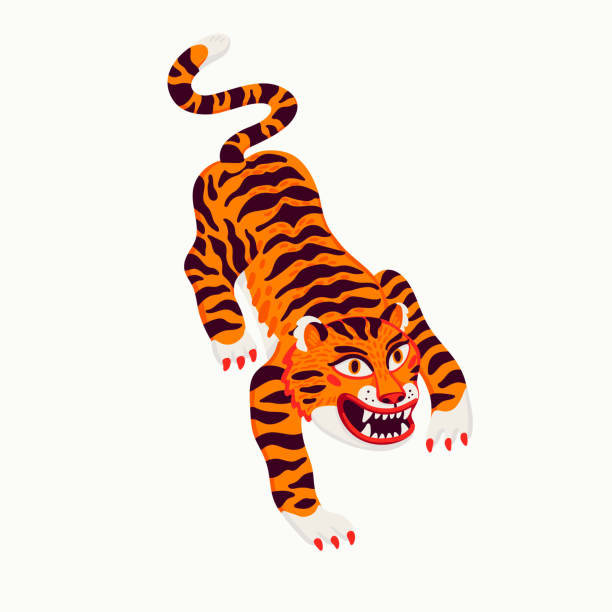 Tiger vector illustration, cartoon tiger prowling on white background. Organic flat style vector illustration Tiger vector illustration, cartoon tiger prowling on white background. Organic flat style vector illustration. animal stickers stock illustrations