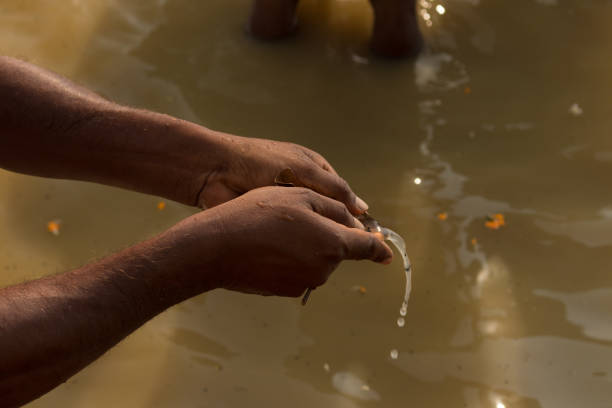 during a summer day child hand cautiously takes a live crab from a bucket azul, detail