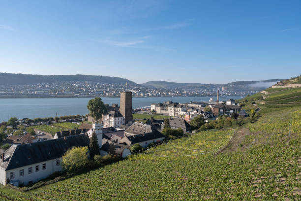 istock View of Ruedesheim am Rhein / Germany 1347673378