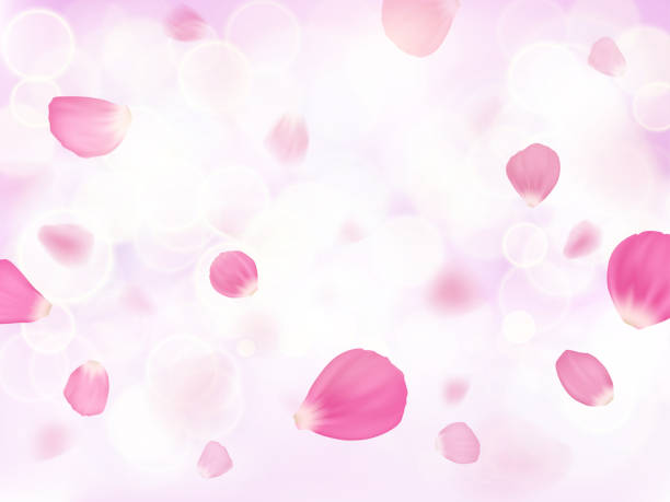 istock Pink flower petals are falling on blurred background with bokeh 1347675325