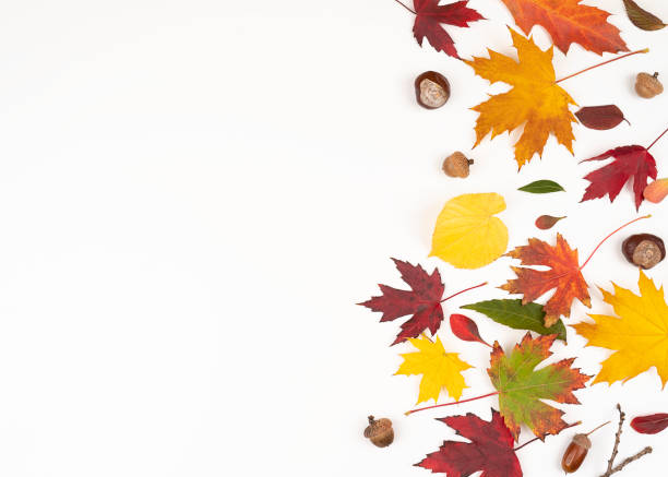 istock Autumn leaves border frame isolated on white background 1347676594