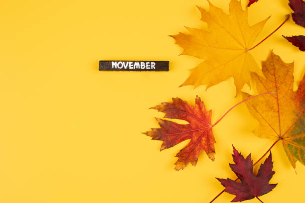 istock Autumn orange leaves falling down Isolated on yellow background 1347677668