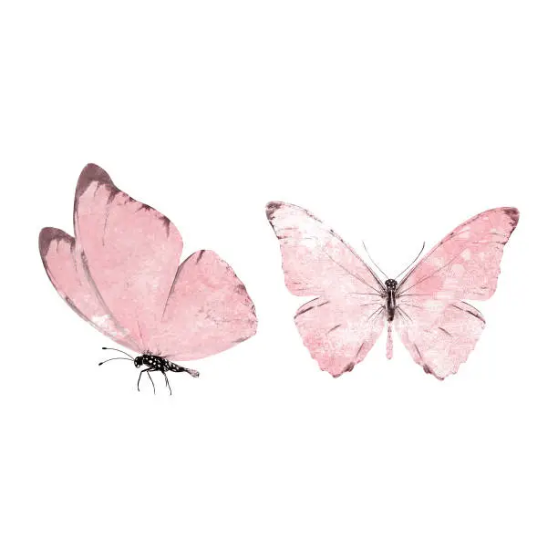 Photo of red watercolor butterflies isolated on a white