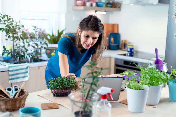 istock Young woman with hearing aid planting micro plants in biodegradable packaging. 1347679778